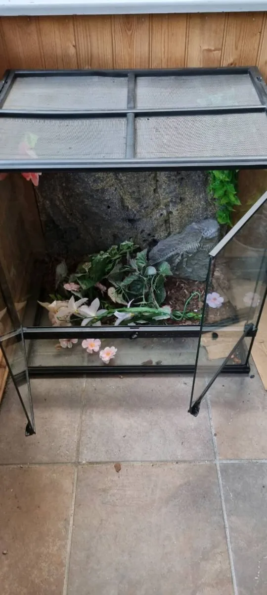 Exo Terra 60x45x60 Vivarium - Image 3