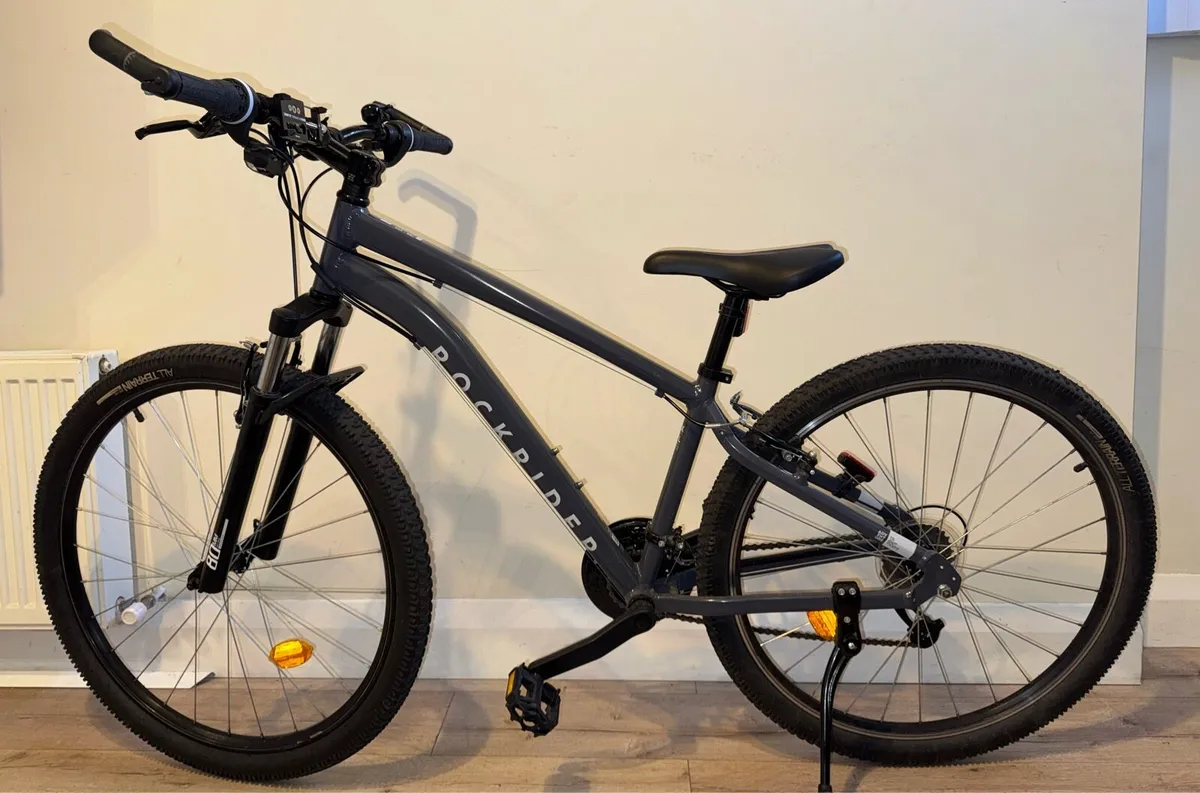 Bicycle - Image 1
