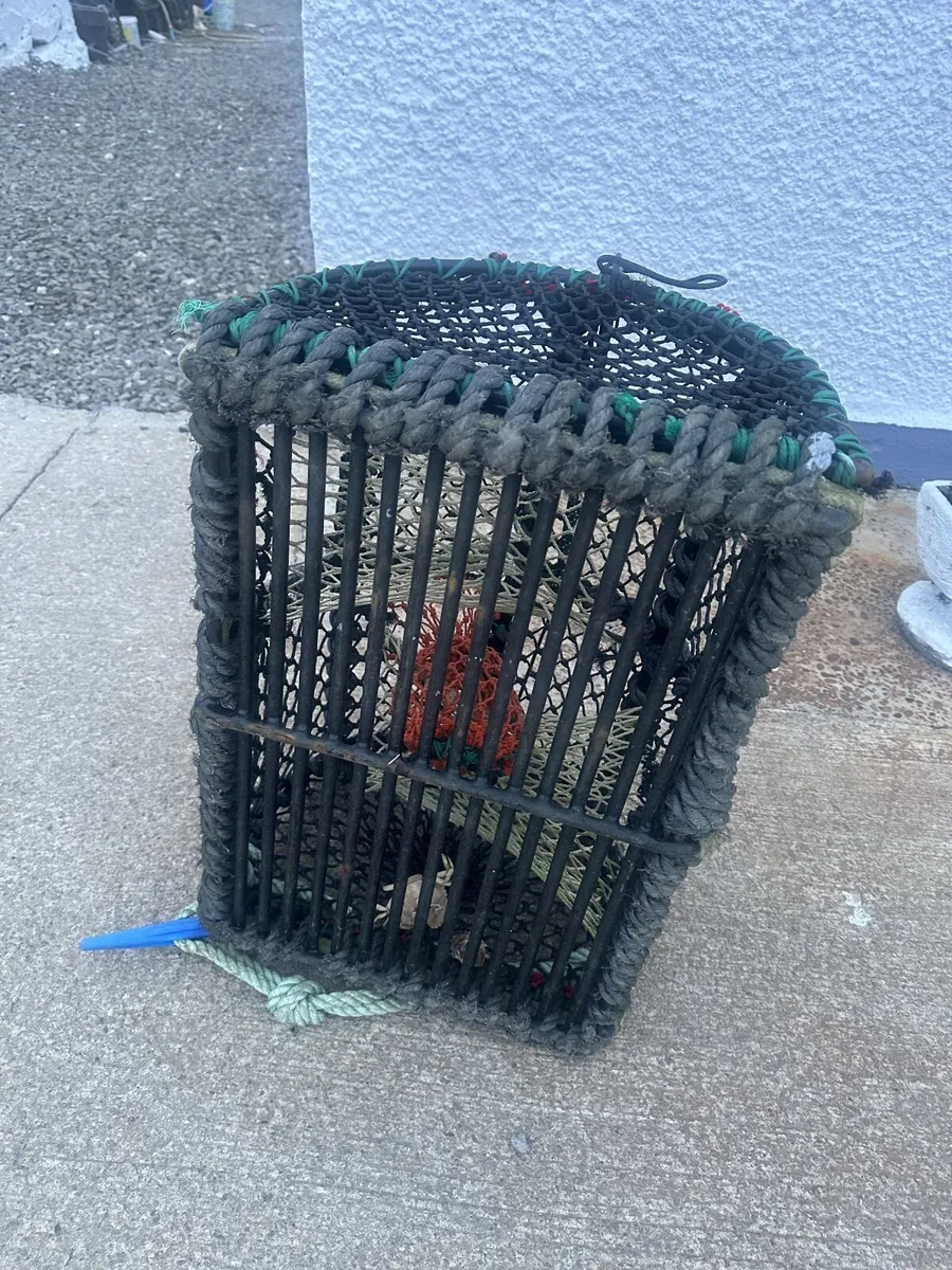 Green Crab/Lobster Pots - Image 2