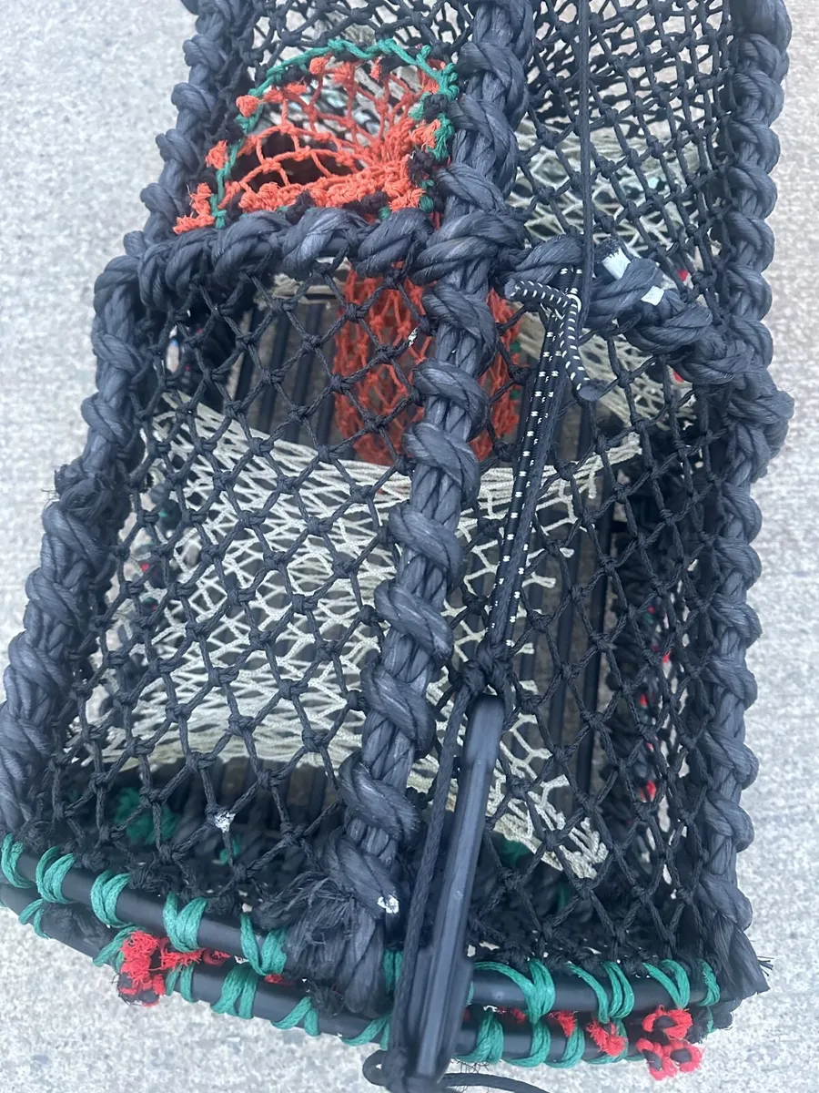 Green Crab/Lobster Pots - Image 3