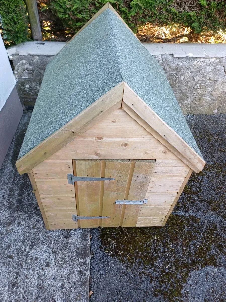 Dog box - Image 1