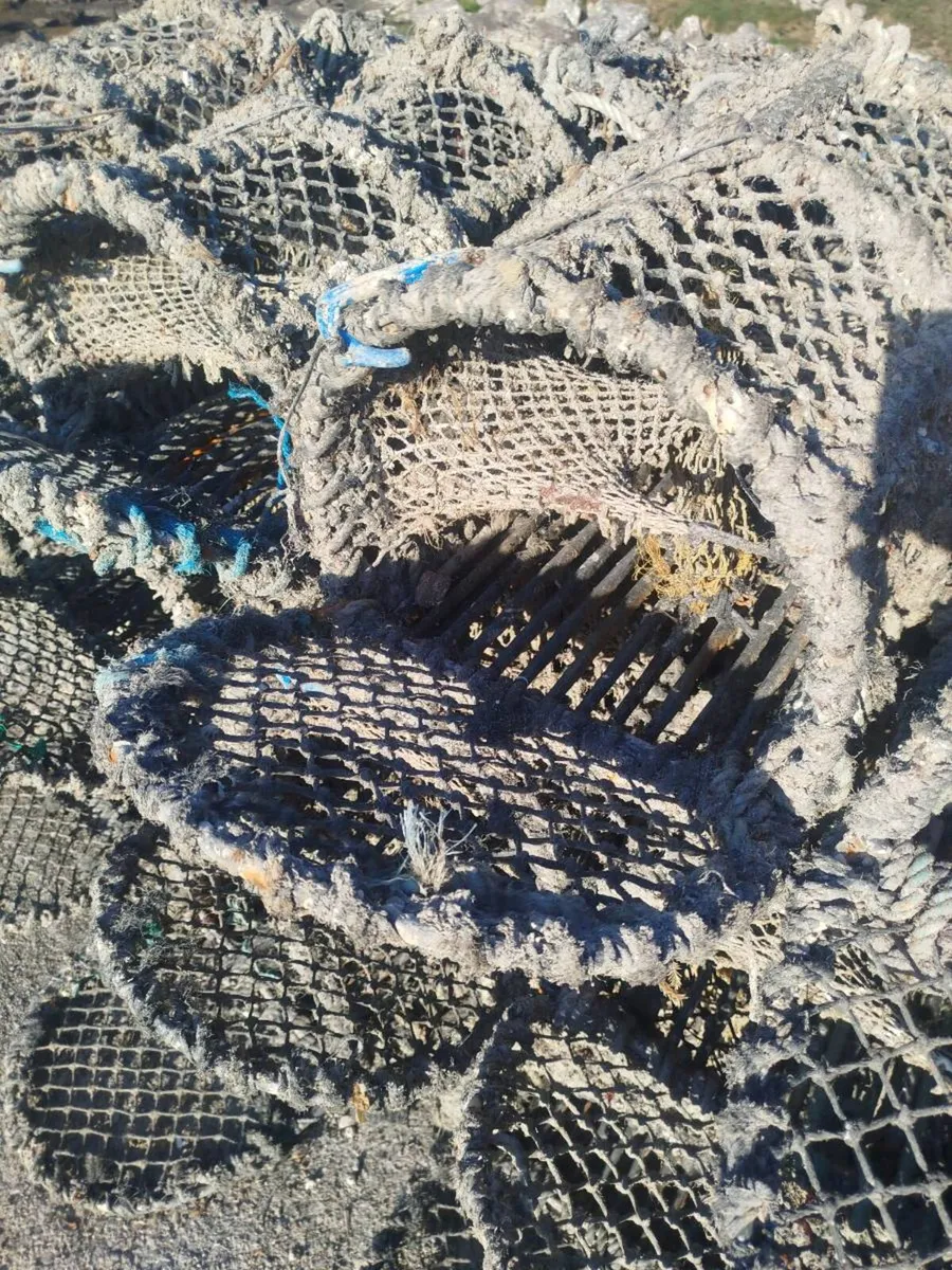Lobster pots x 70 - Image 2
