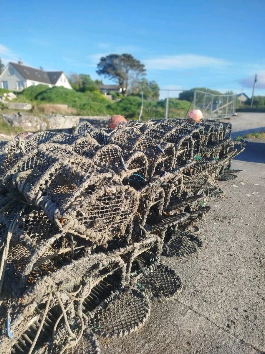 Lobster pots x 70 - Image 1