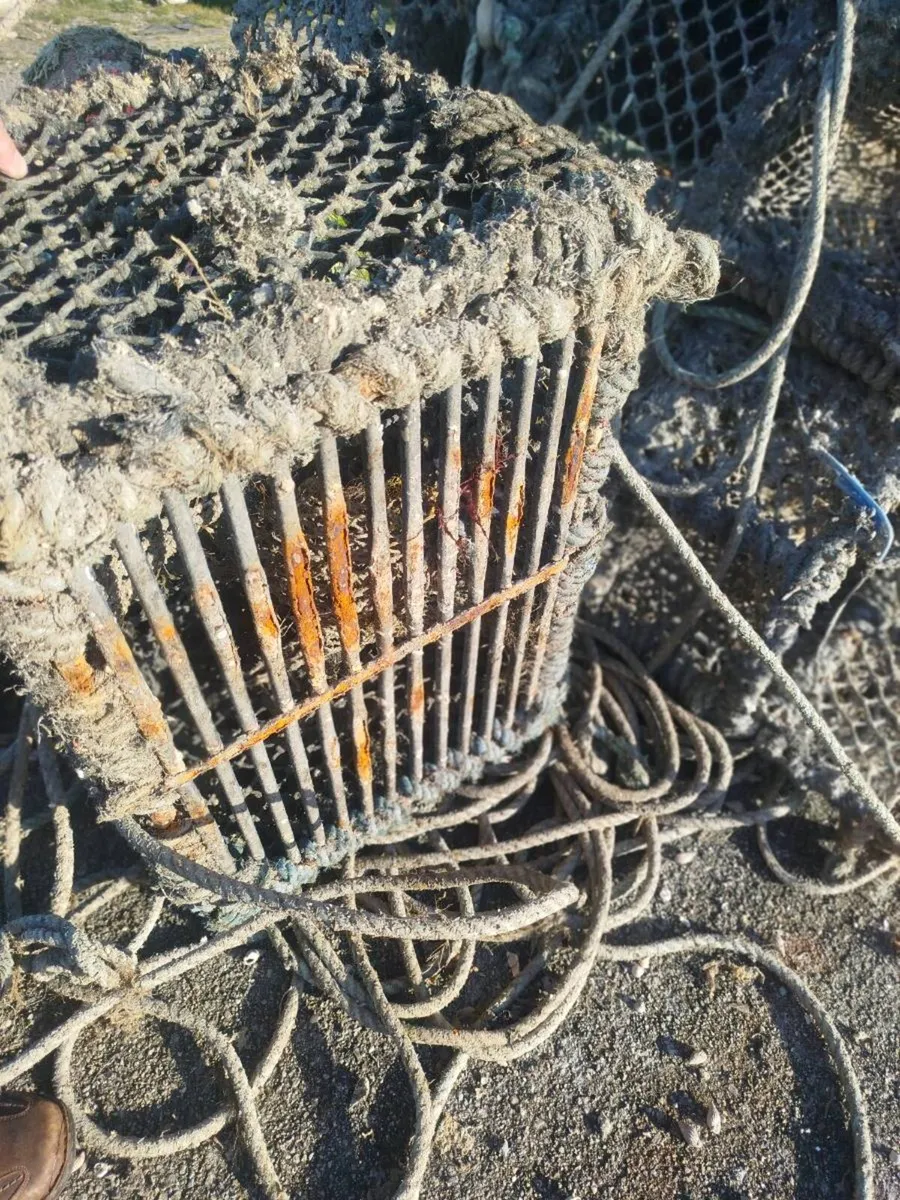 Lobster pots x 70 - Image 3