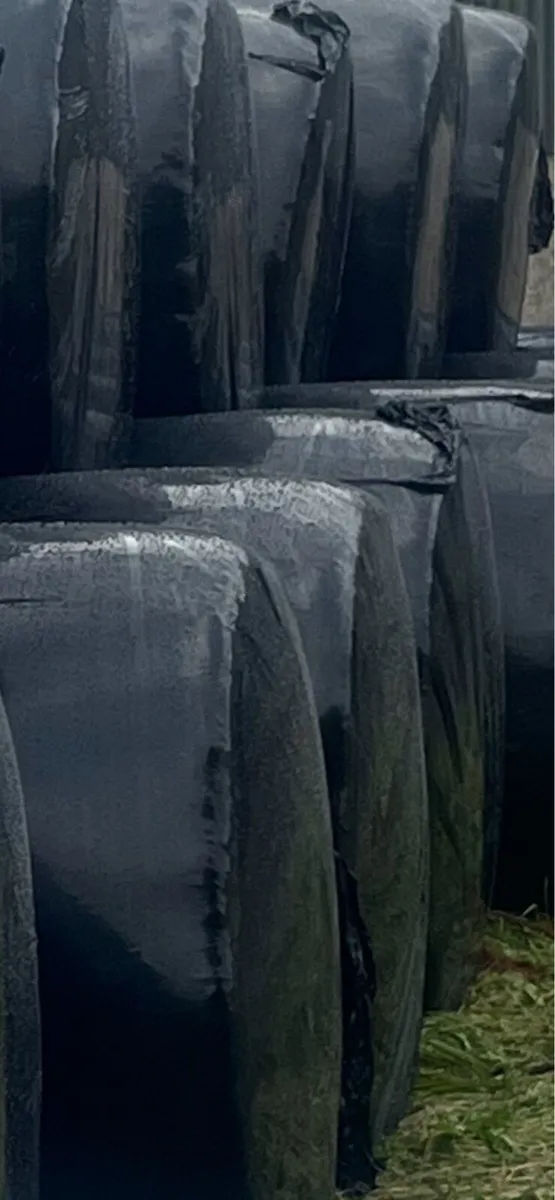 Organic Silage - Full Symbol