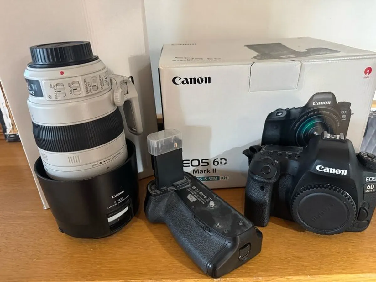 Canon EOS6D Mk2.  EF100-400 lens. - Image 2
