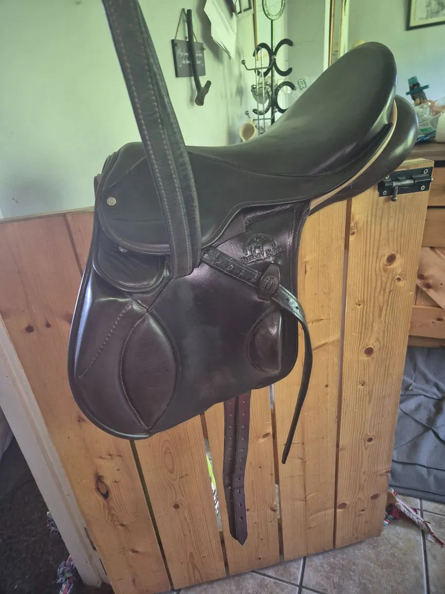 Berney saddle - Image 2
