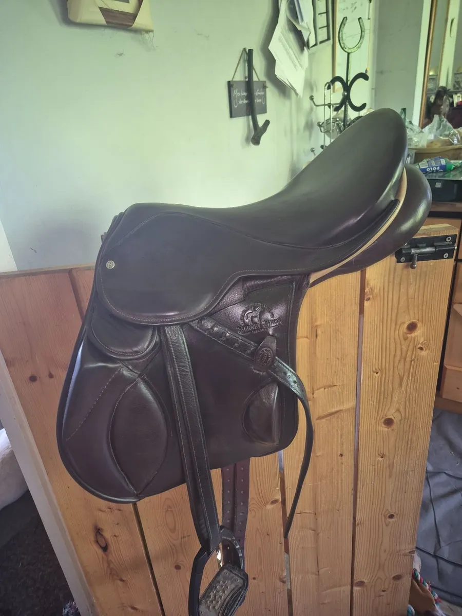 Berney saddle - Image 4