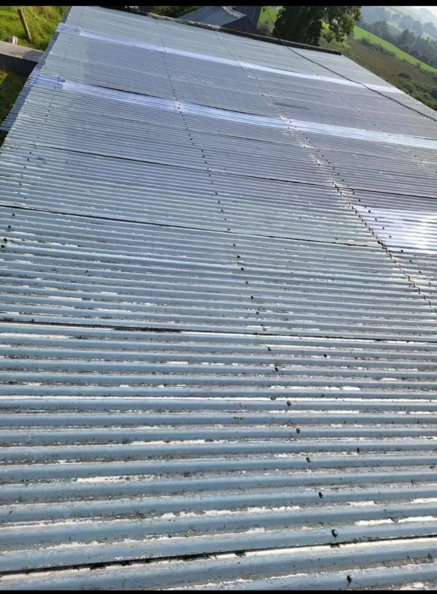 Cork Farm Painters & Shed Repairs - Image 4