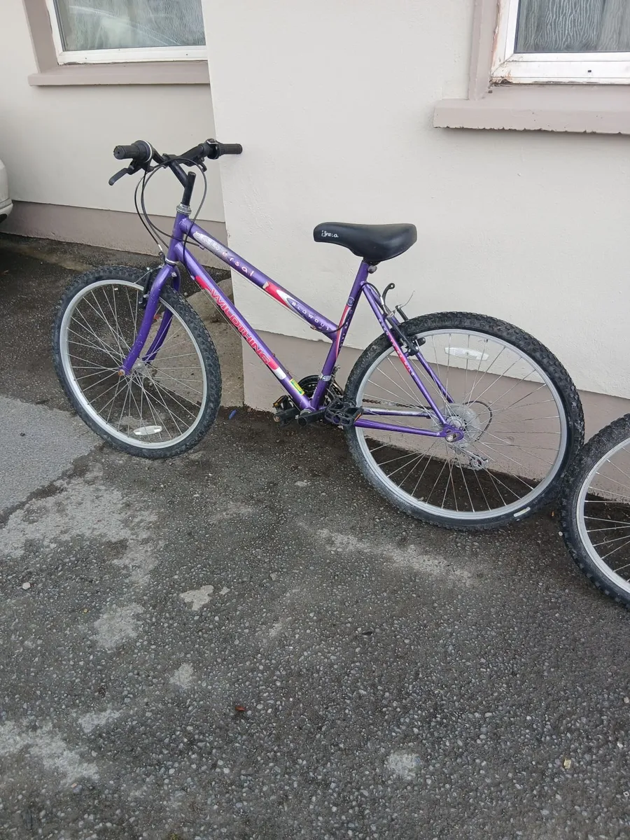 All bikes for sale all working good 40e each - Image 1