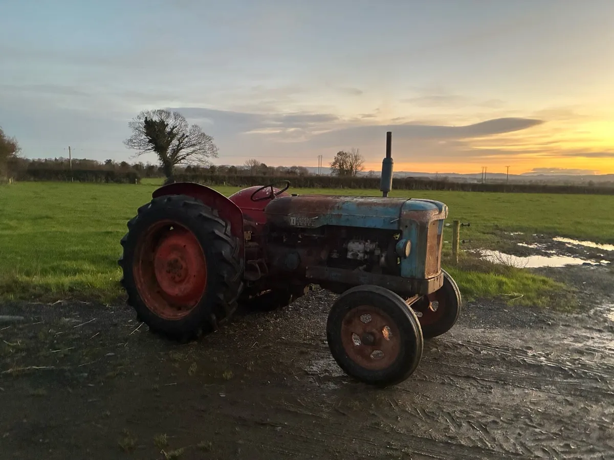 Fordson Standard major 1955 - Image 2