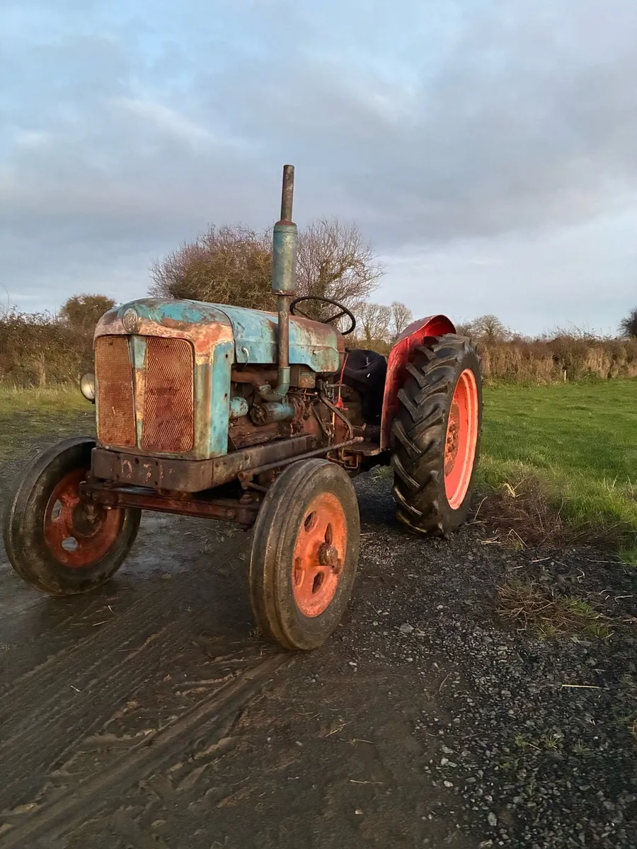 Fordson Standard major 1955 - Image 3