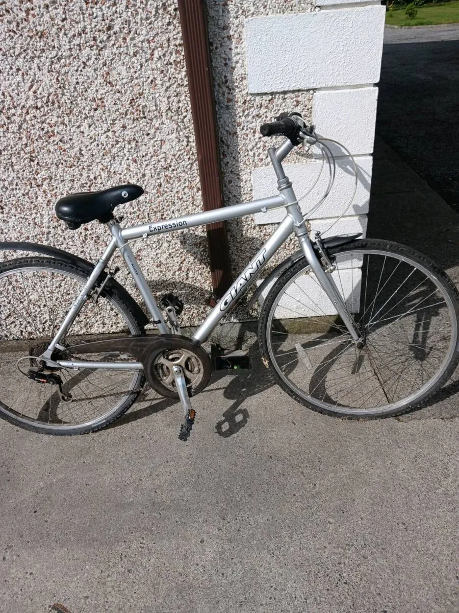 Bike - Image 1