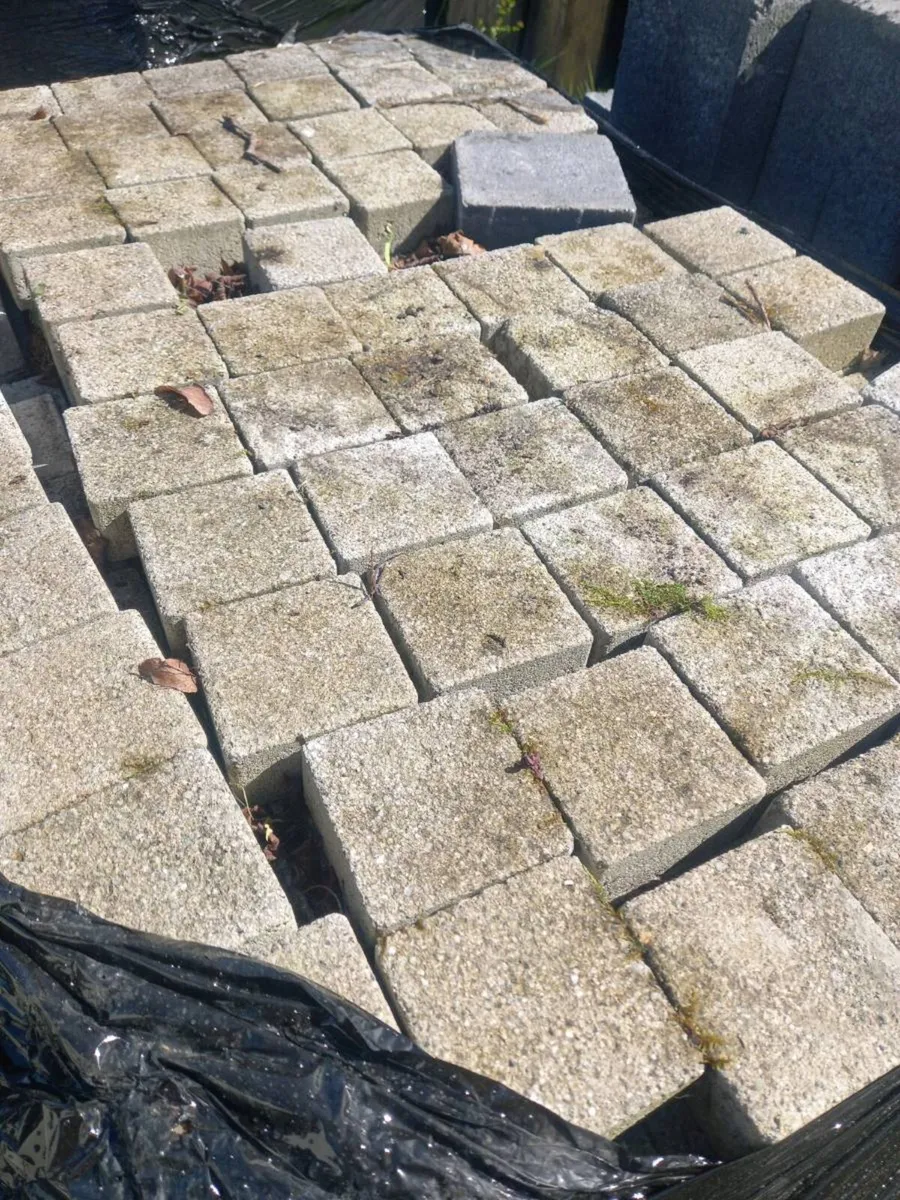 Leftover paving brick - Image 2