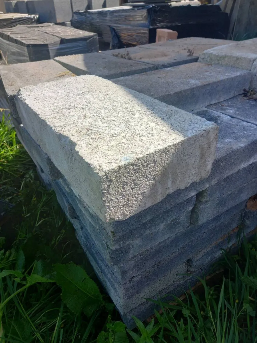 Leftover paving brick - Image 4