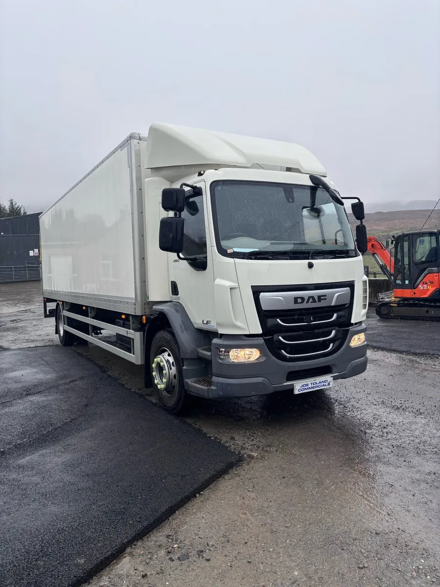 2024 DAF LF BOX BODY - Image 2