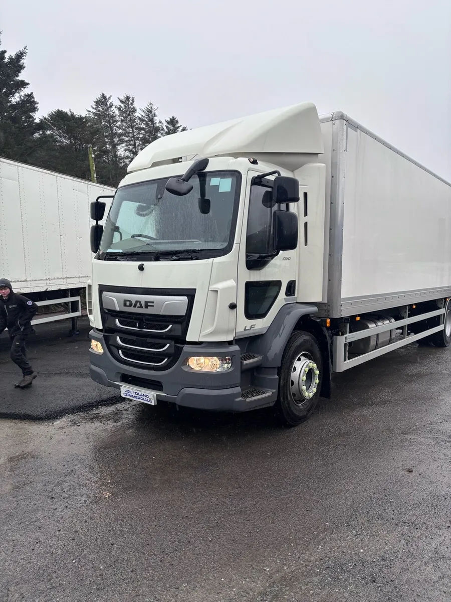 2024 DAF LF BOX BODY - Image 3
