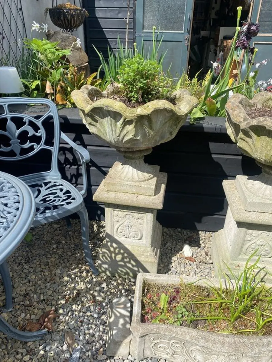 outdoor garden - Image 3