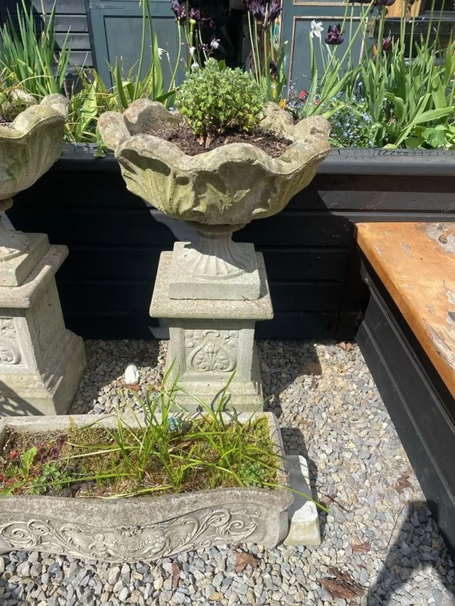 outdoor garden - Image 4