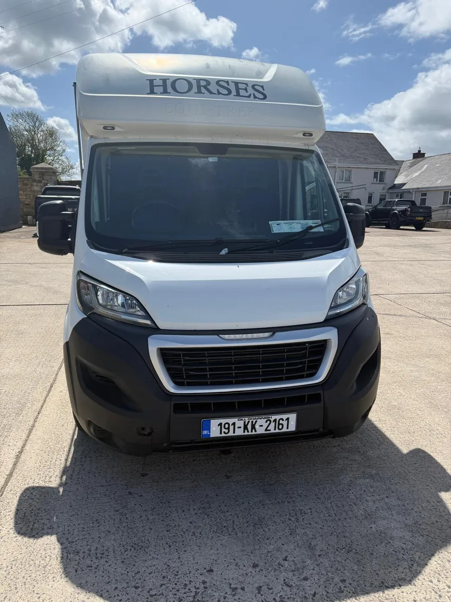 2019 Peugeot Boxer -2 Stall Equitrek Horse - Image 2