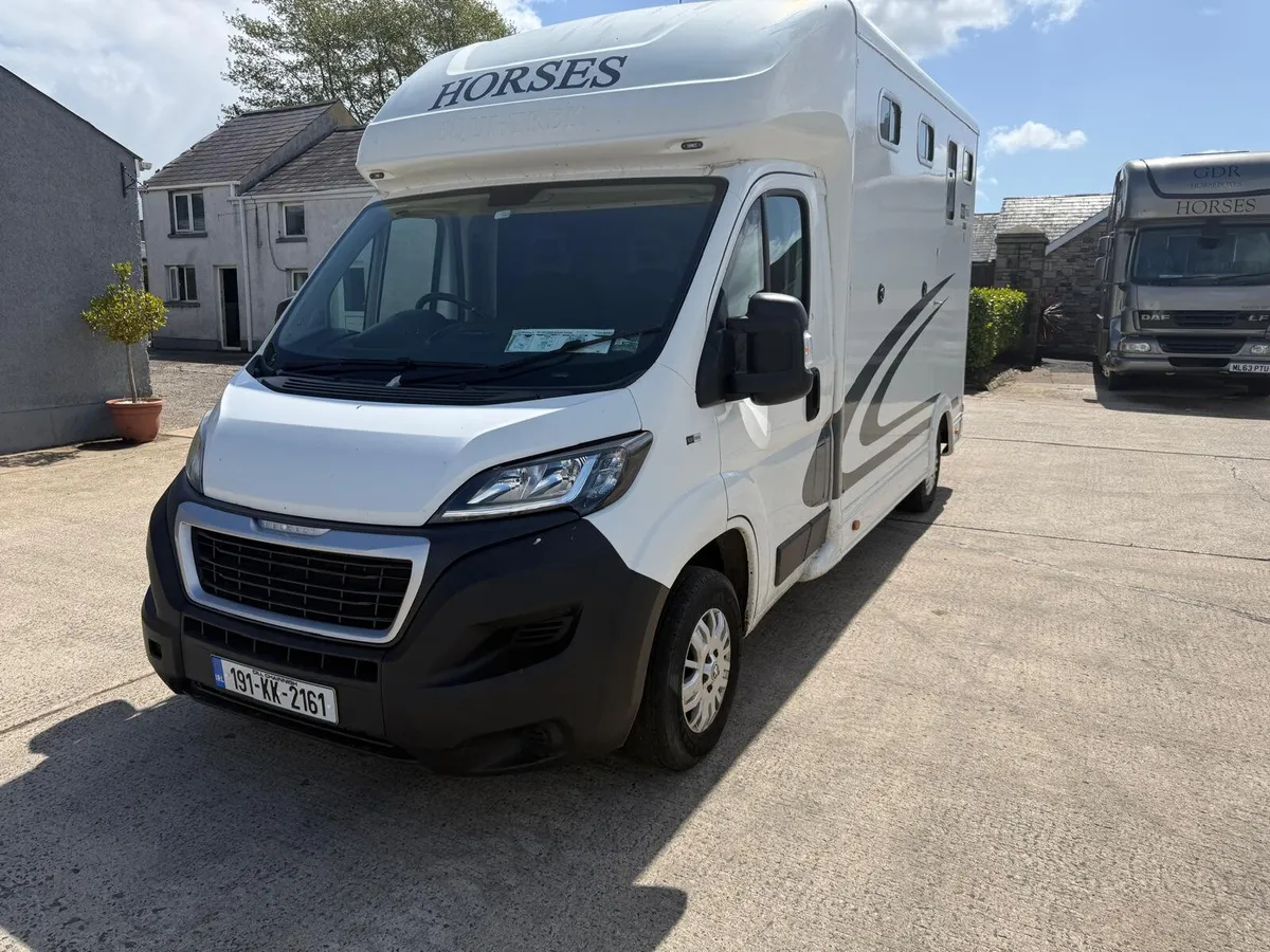 2019 Peugeot Boxer -2 Stall Equitrek Horse - Image 4