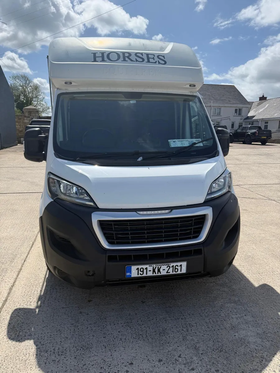 2019 Peugeot Boxer -2 Stall Equitrek Horse - Image 3