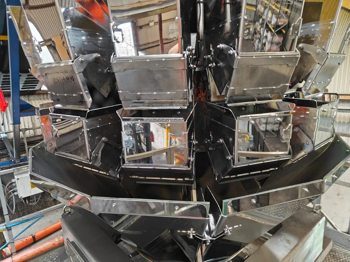 Multihead Weigher - Image 2