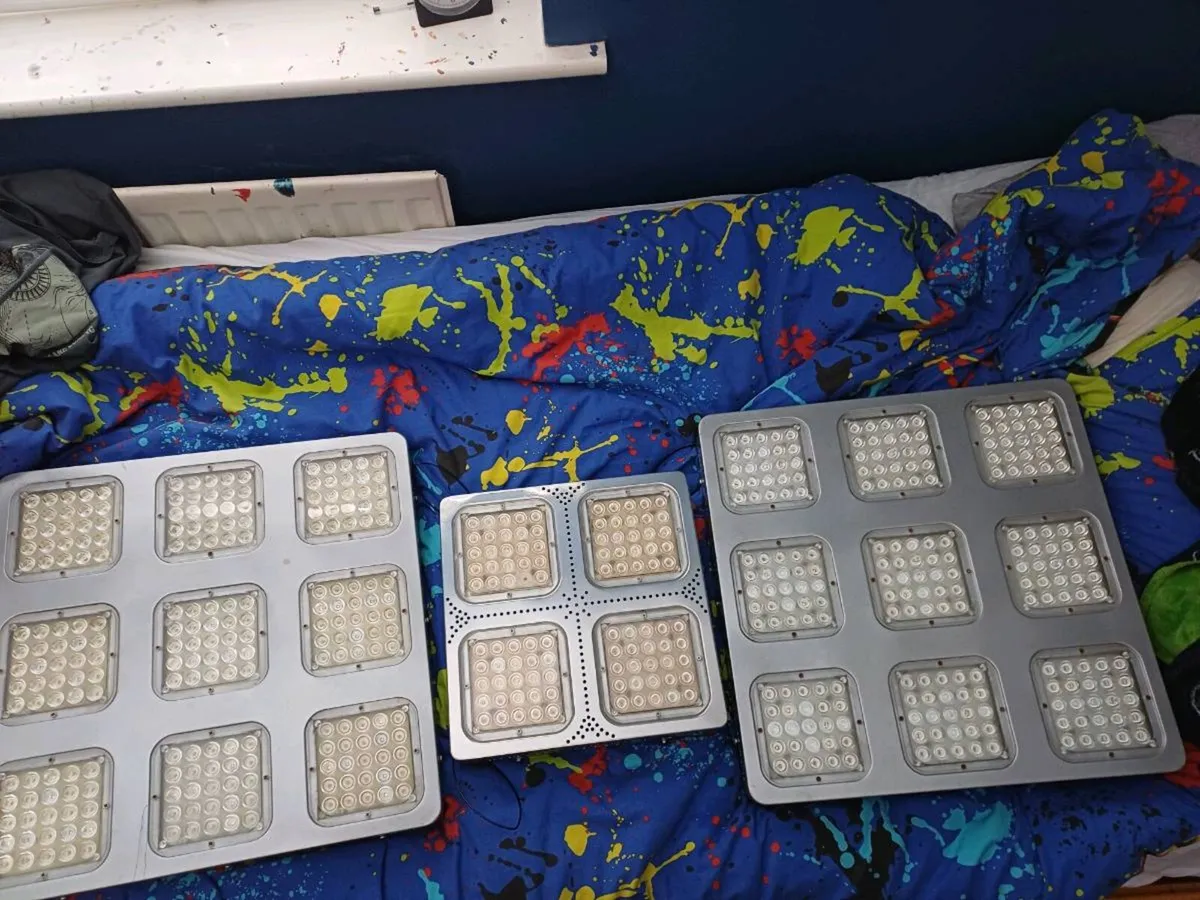 L.E.D growlights - Image 2