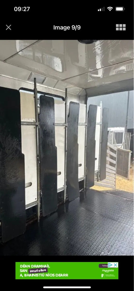 8 horse transporter - Image 3