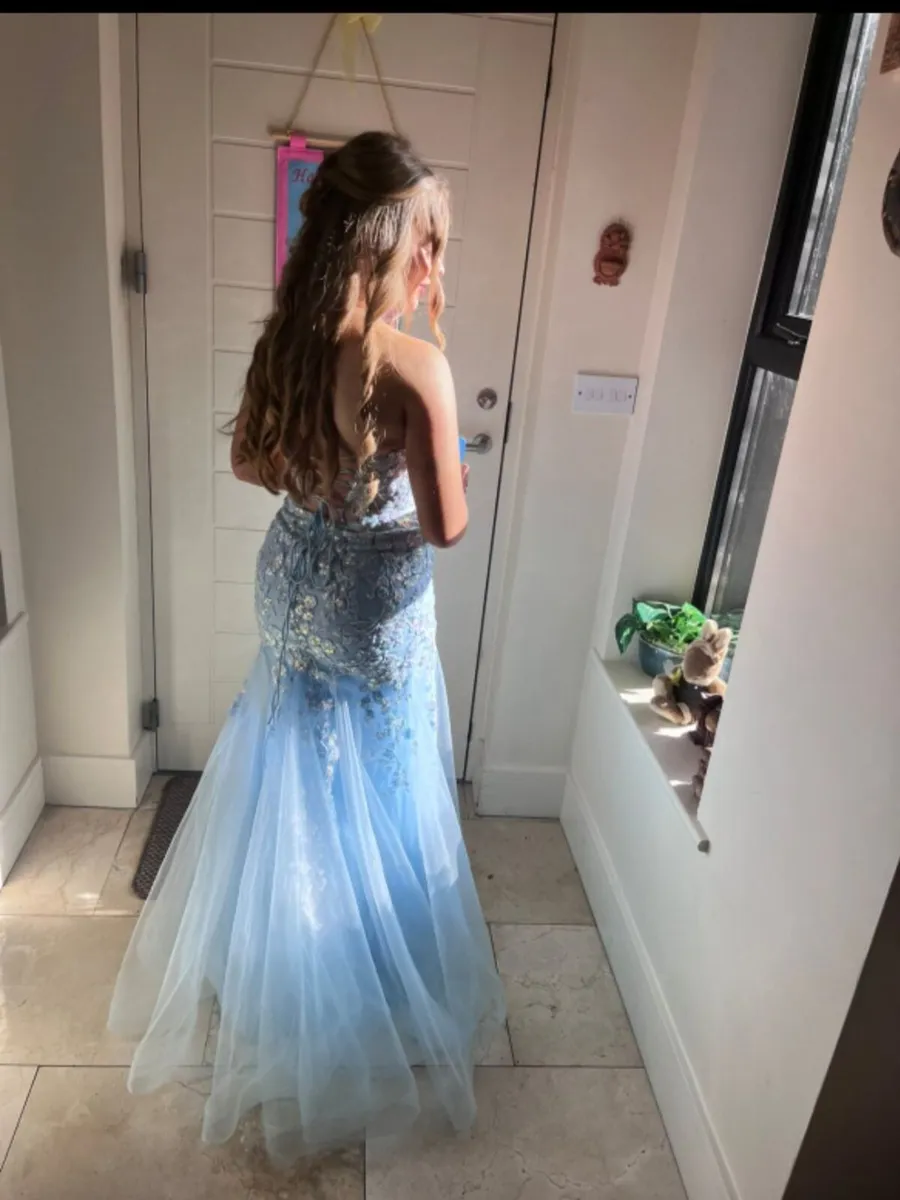Beautiful ball dress. - Image 3