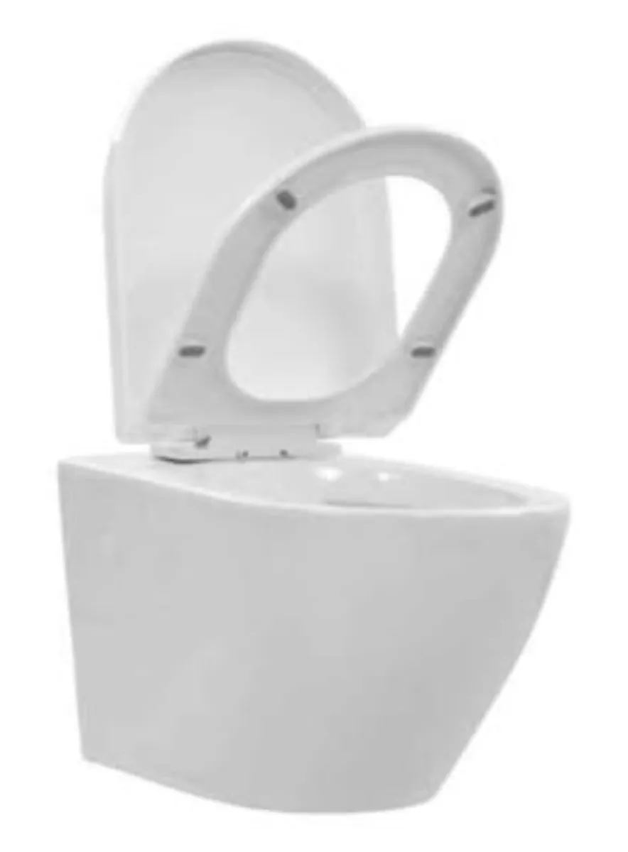 Toilet bowl and seat - Image 1