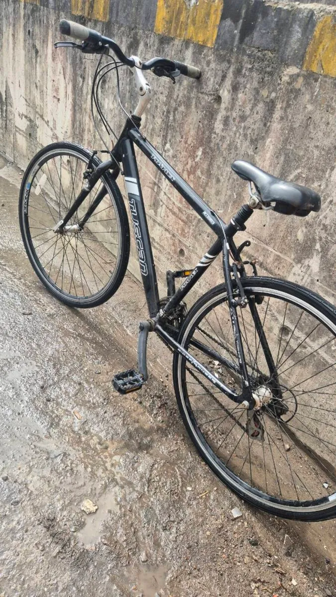 Adult road bike