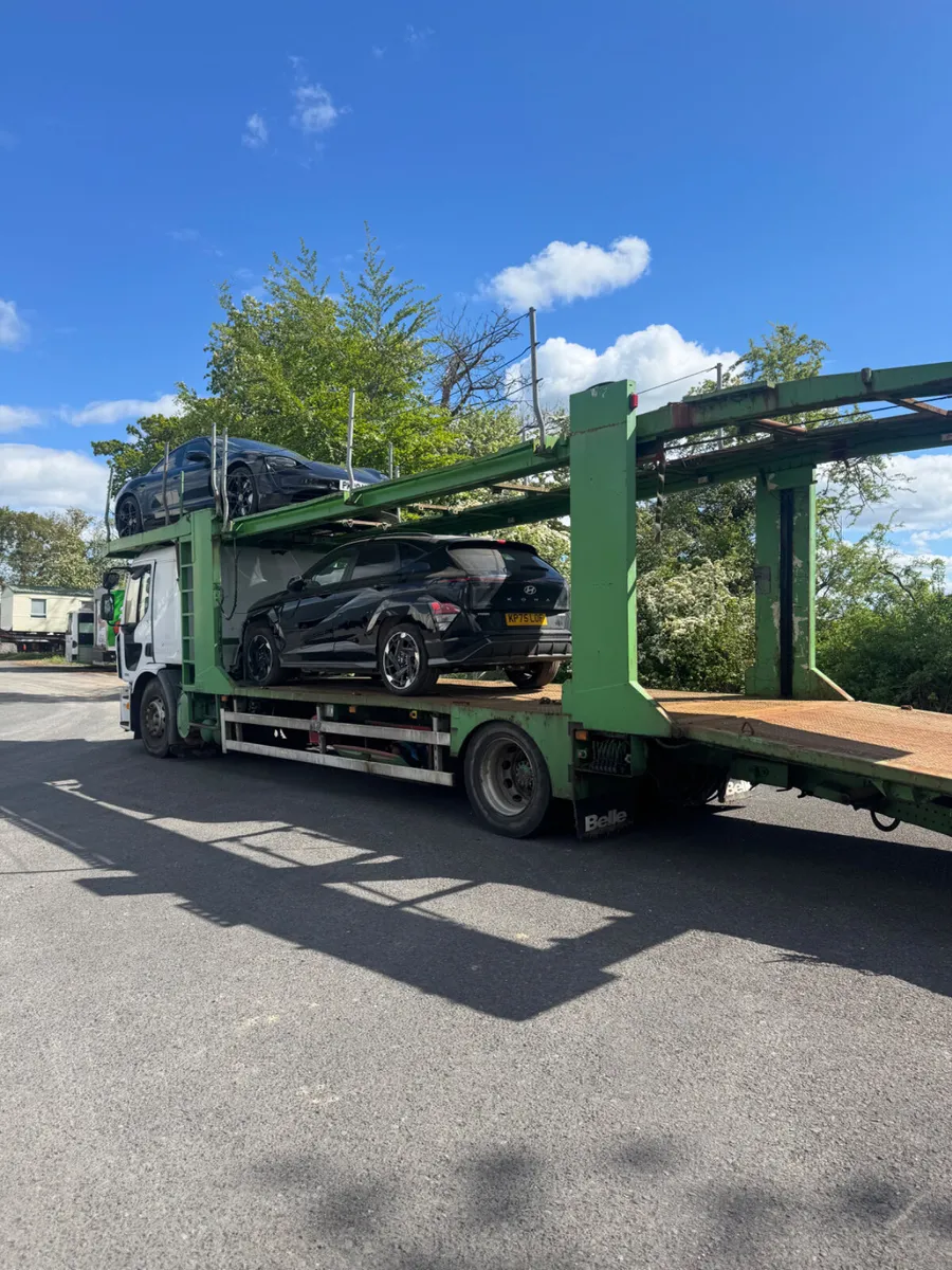 Vehicle transporter - Image 4