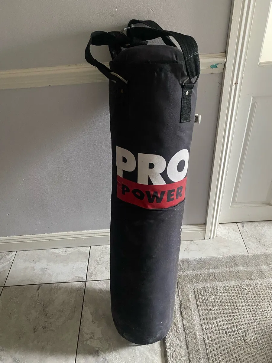 Boxing bag - Image 1