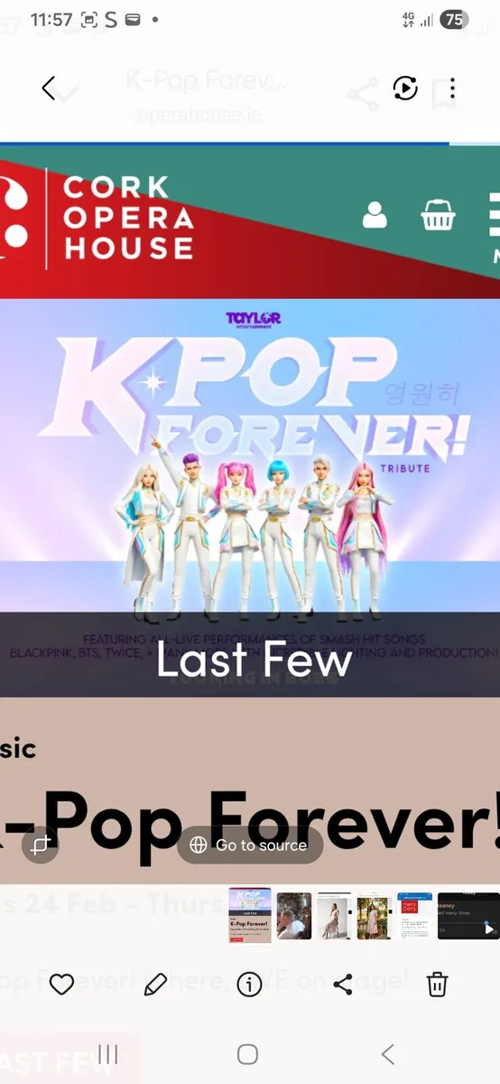 Kpop Demon Hunters at Opera House