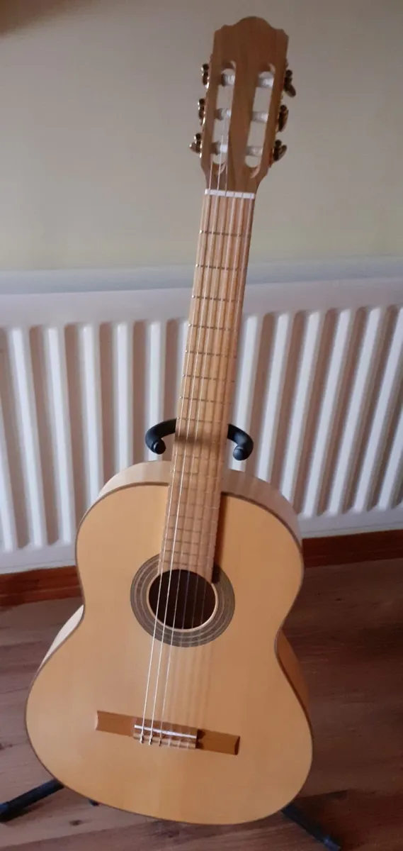 Guitar - Image 1
