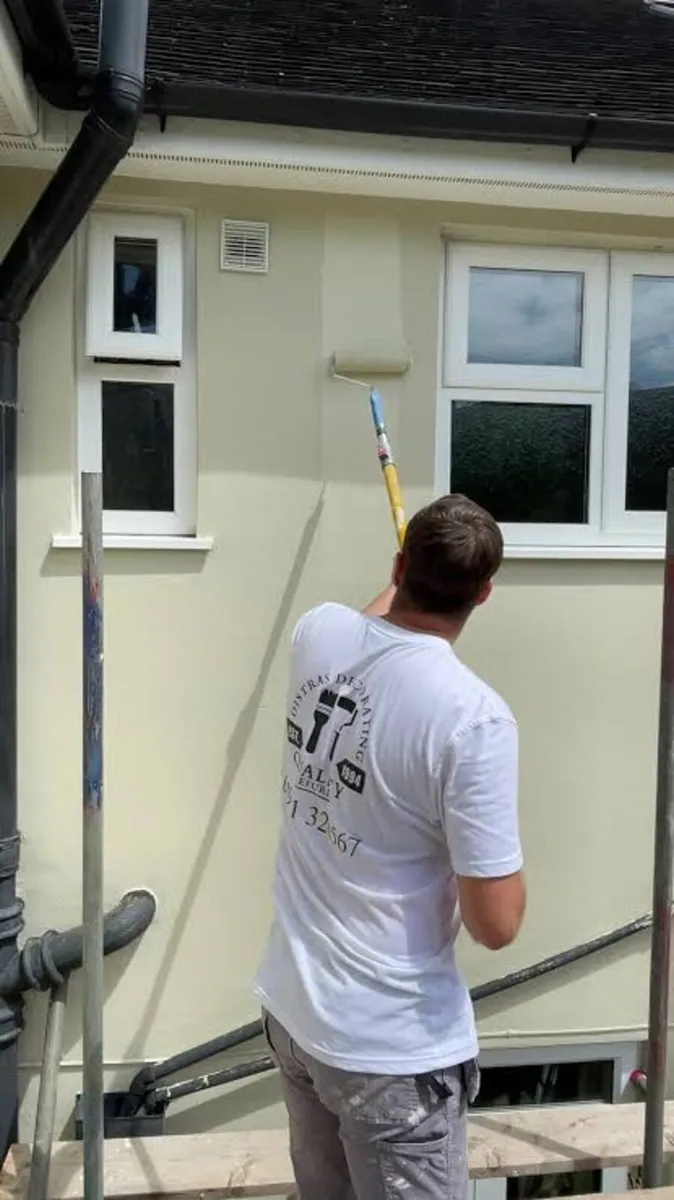 Painting ( interior and exterior) house - Image 2