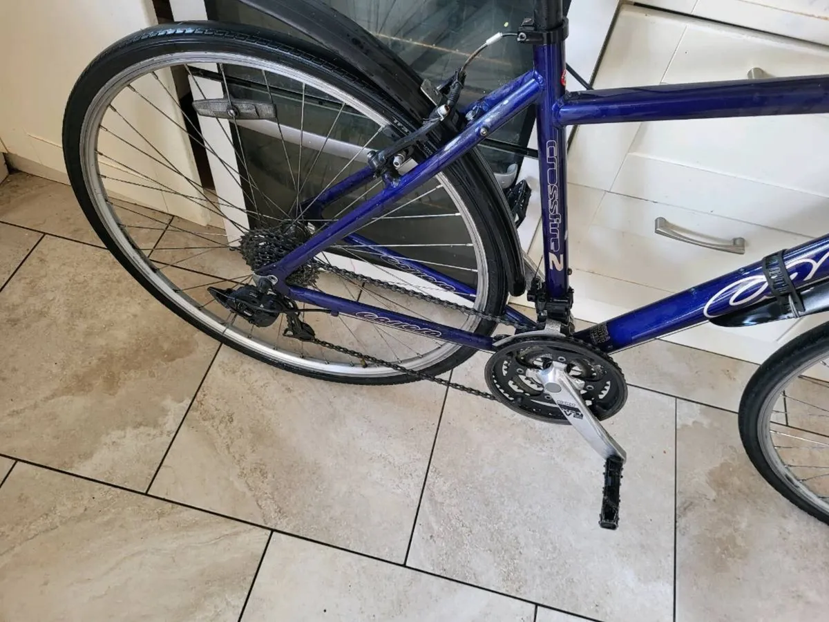 Bike carrera - Image 3