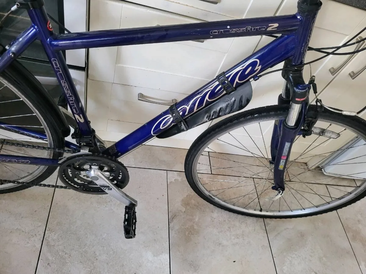 Bike carrera - Image 4