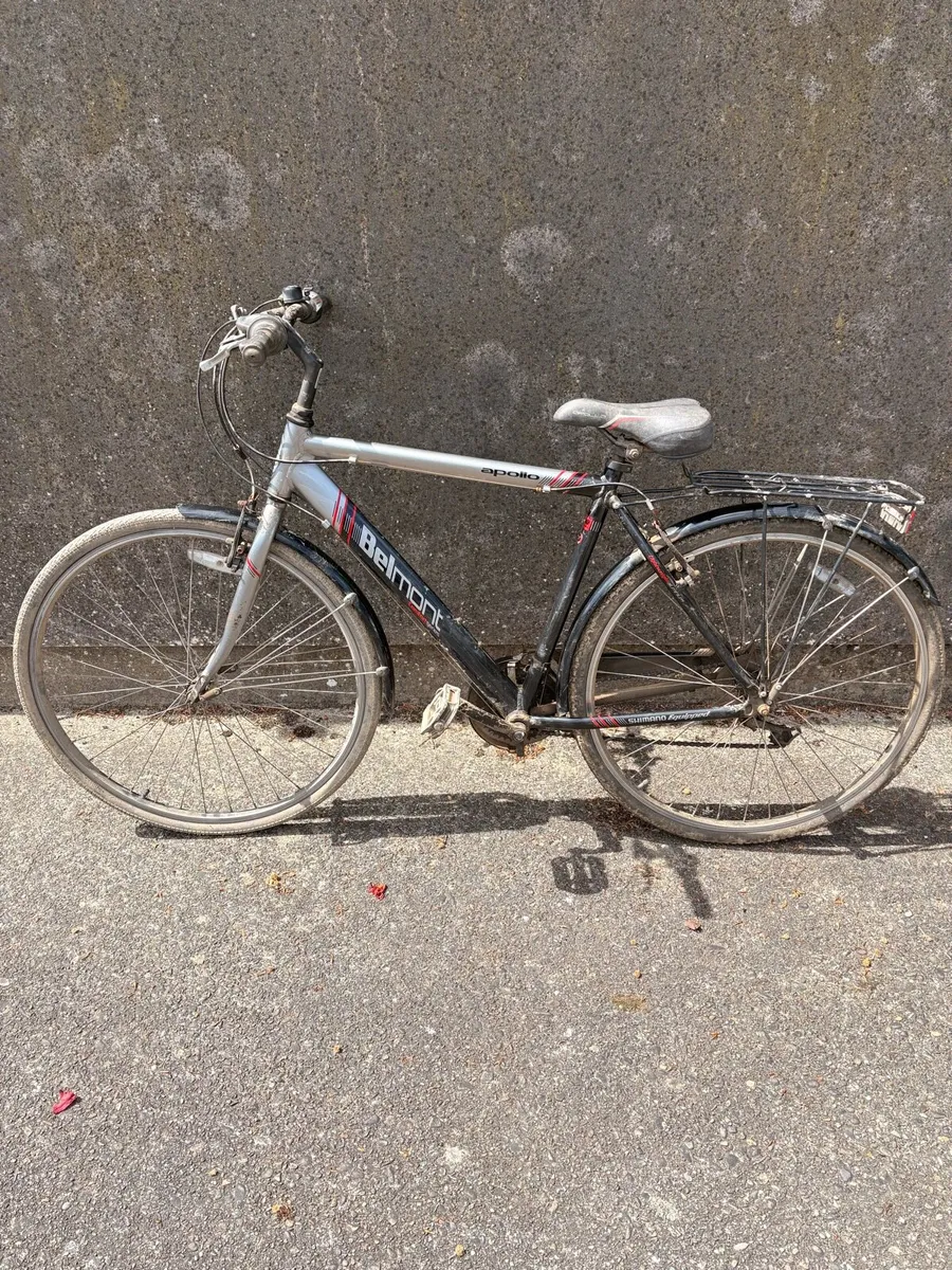 28’’ Adult Bicycle - Image 1