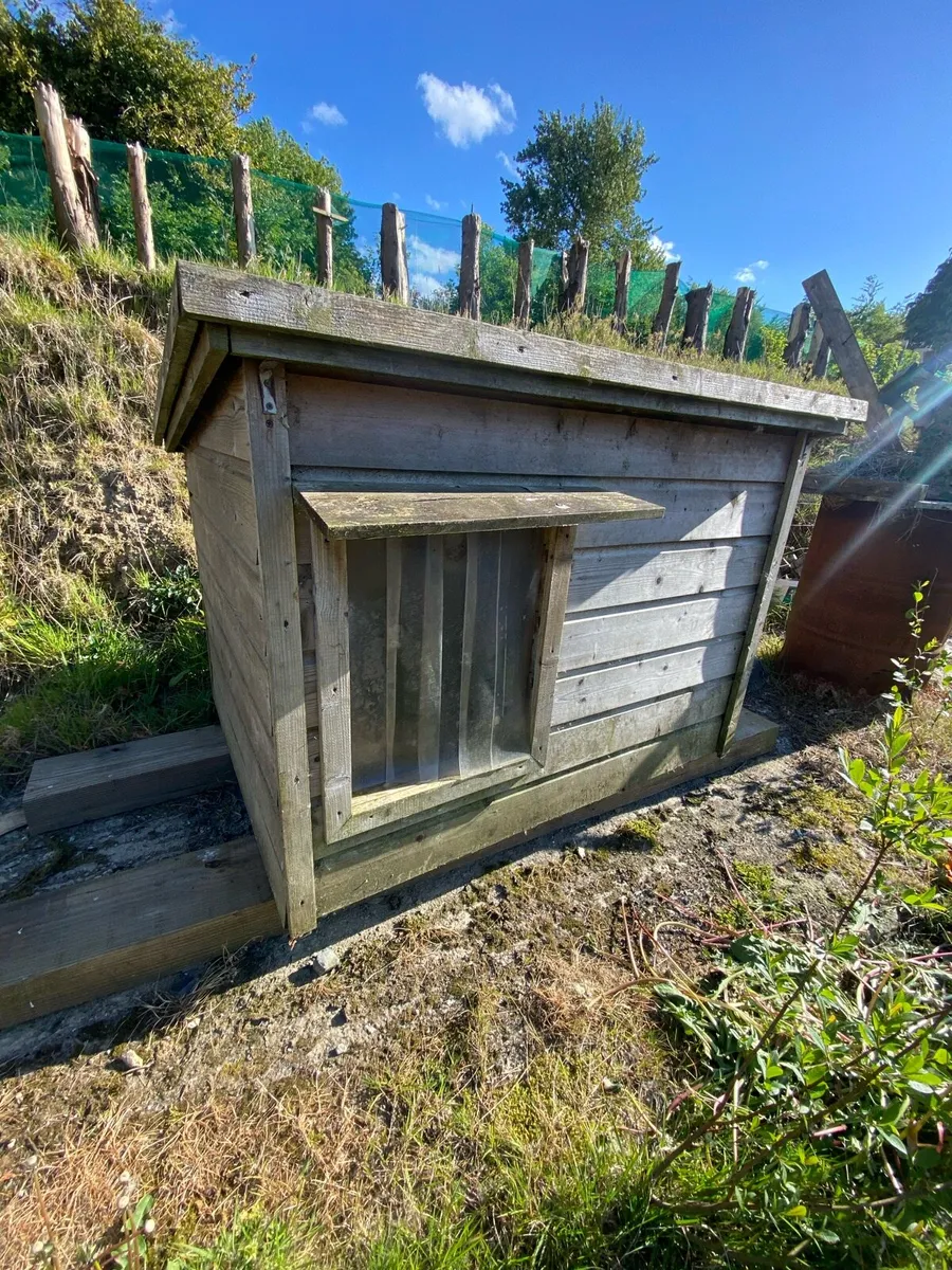 Dog House - Image 1