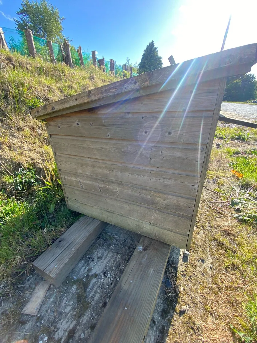Dog House - Image 3
