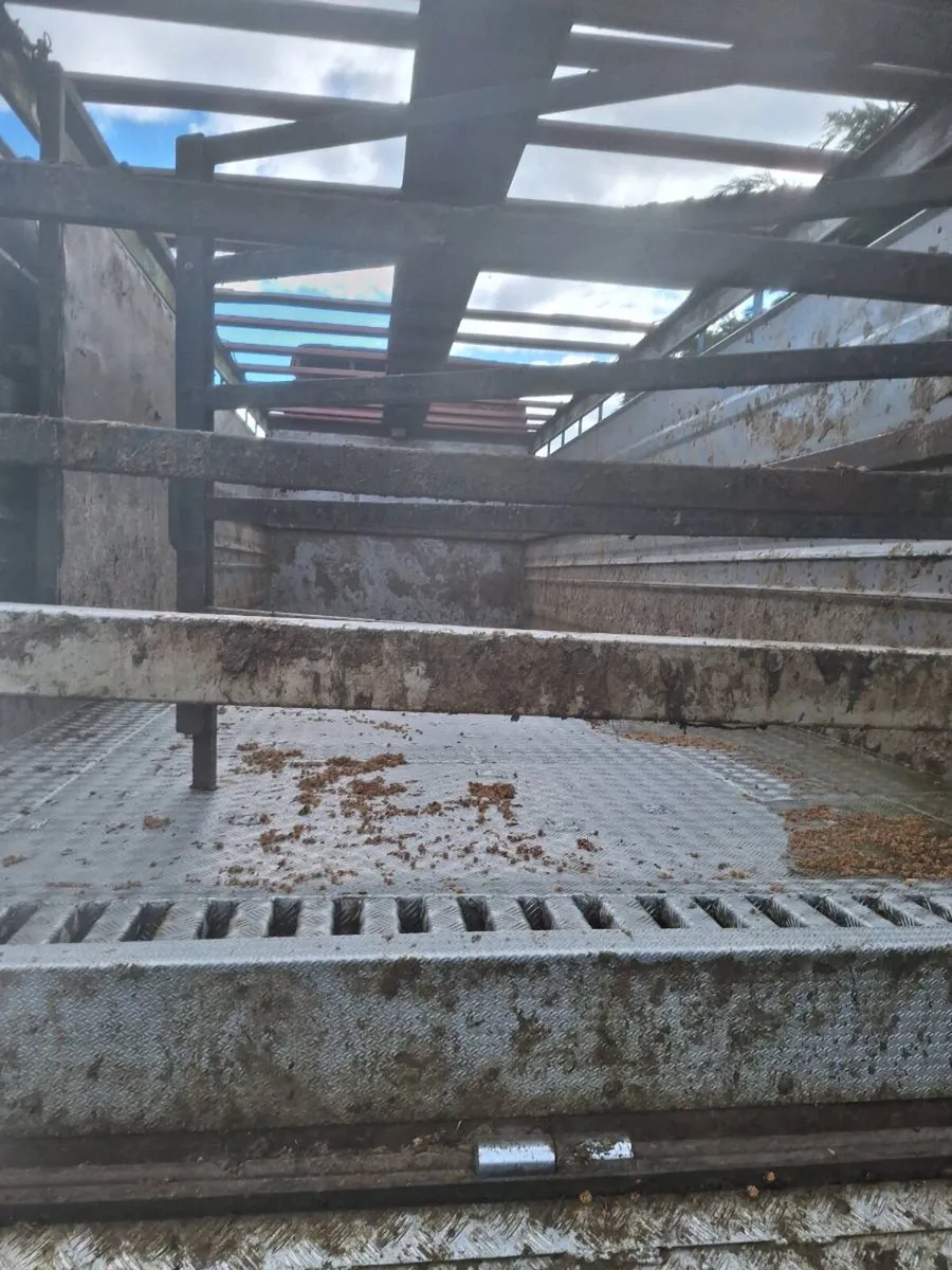 Cattle body /kelly 25ft all alloy - Image 4