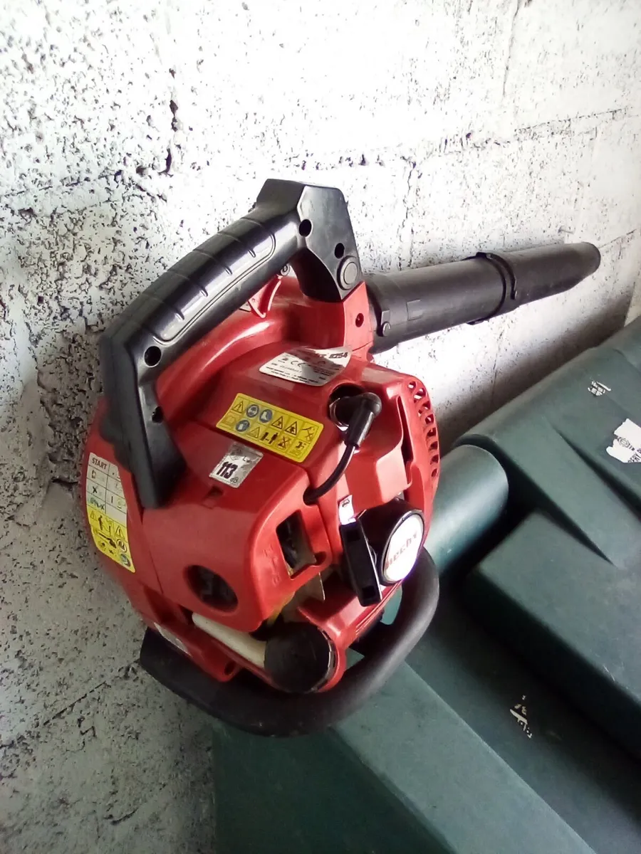 Leafblower - Image 2