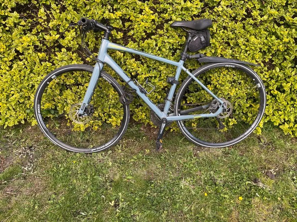 Hybrid B - Image 3