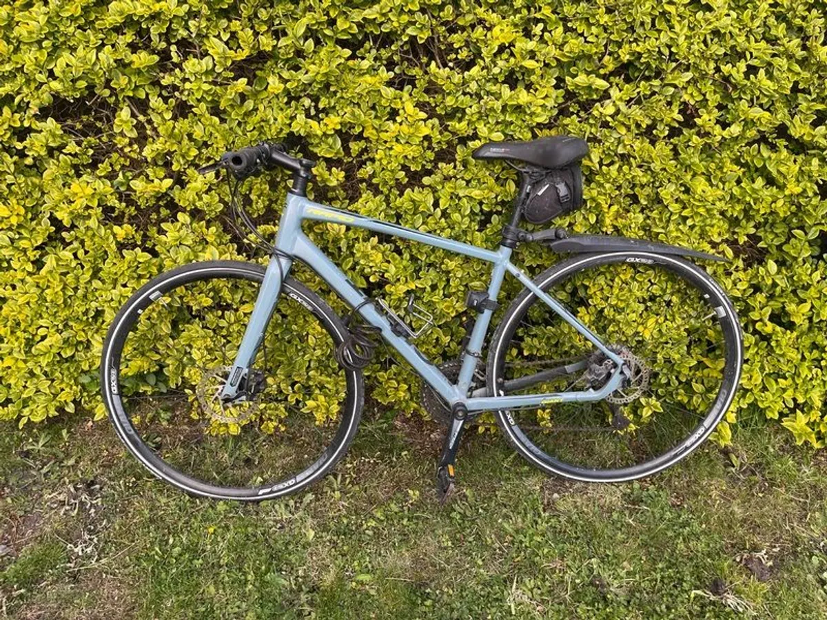 Hybrid B - Image 4