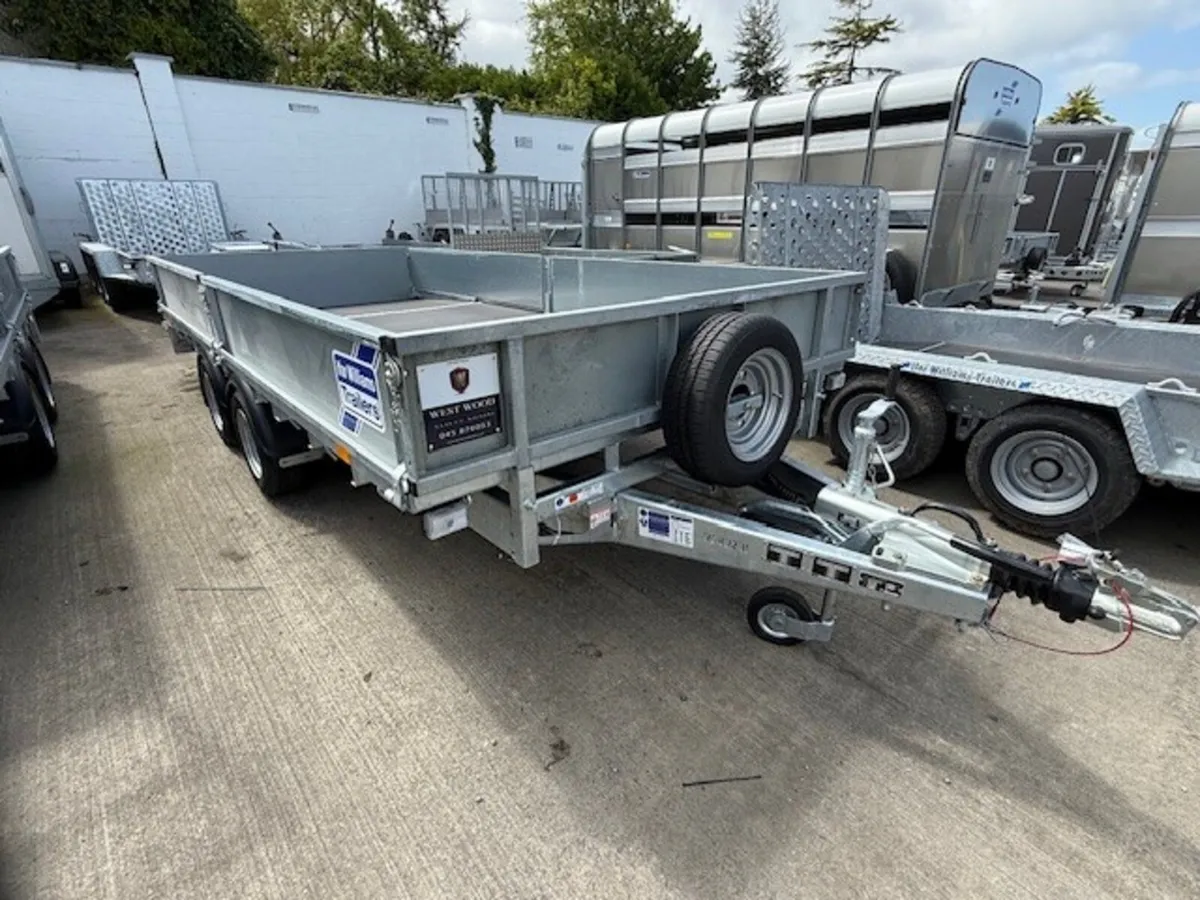T5254002 New LM146B 14' x 6'6'' Ifor xxx - Image 4