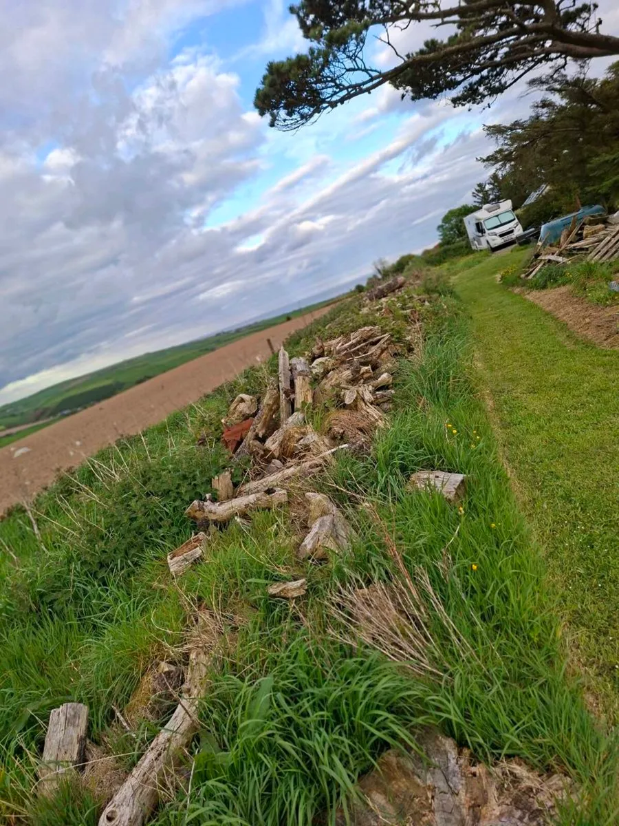 Timber - Image 1