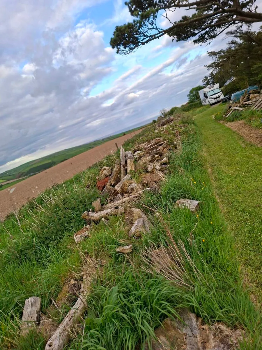 Timber - Image 2