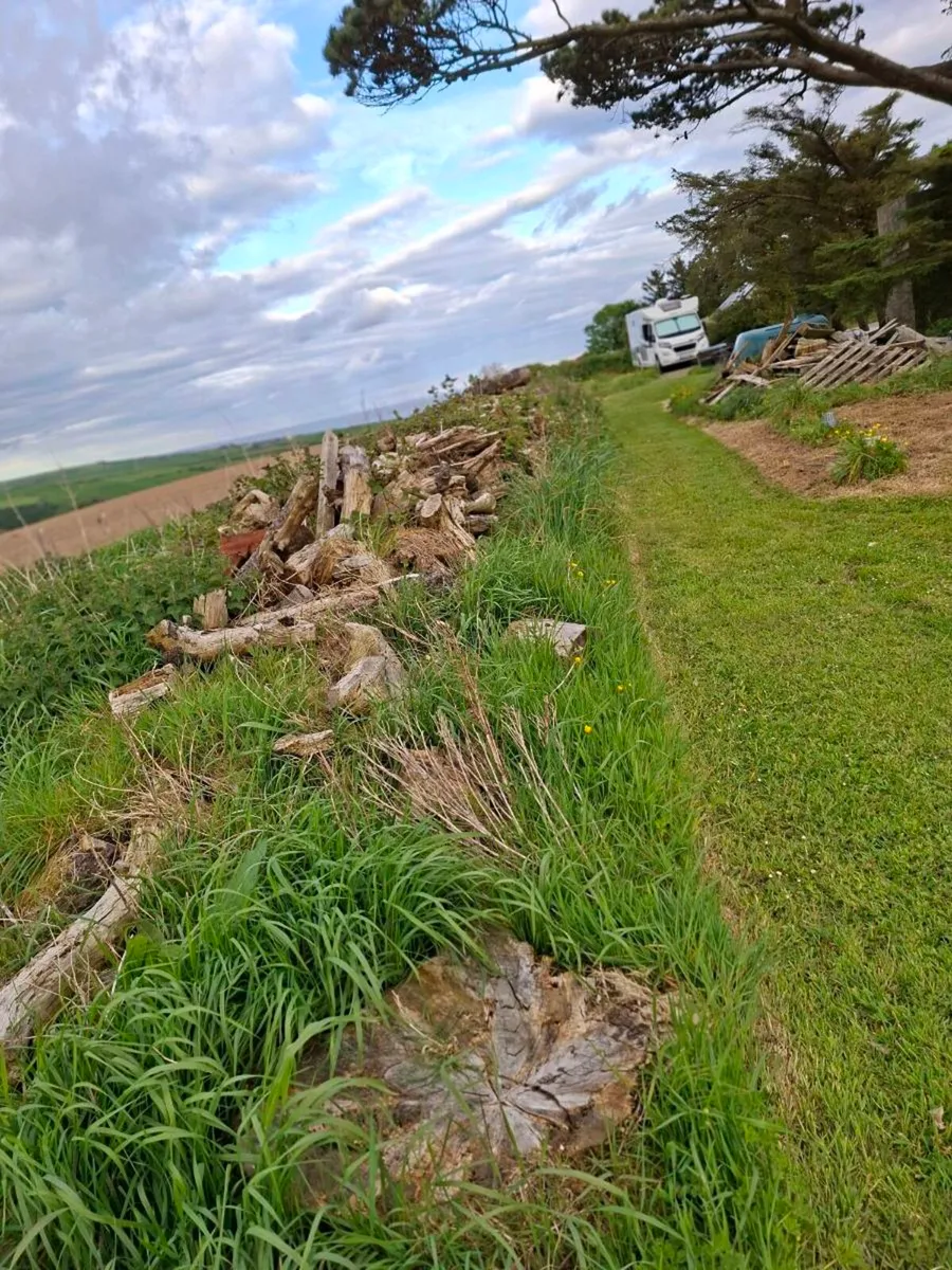 Timber - Image 3
